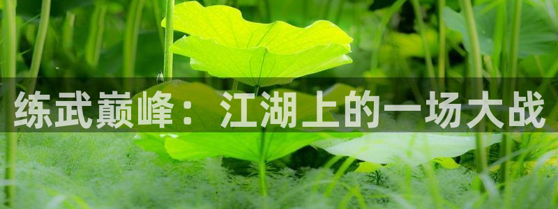 羞羞漫画免费入口官网：练武巅峰：江湖上的一场大战