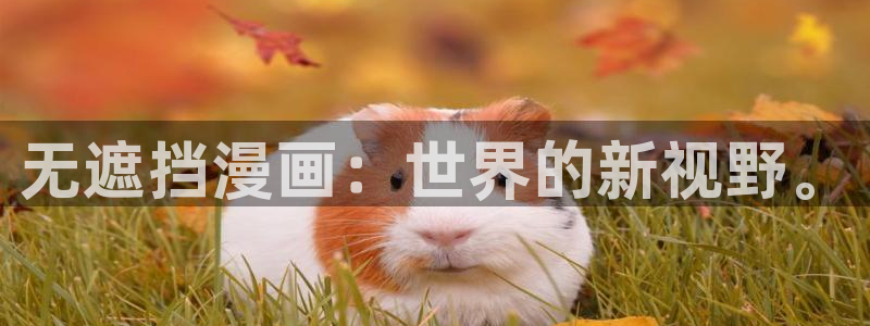 羞羞漫画页面在线看漫画奇妙漫画：无遮挡漫画：世界的新视野。