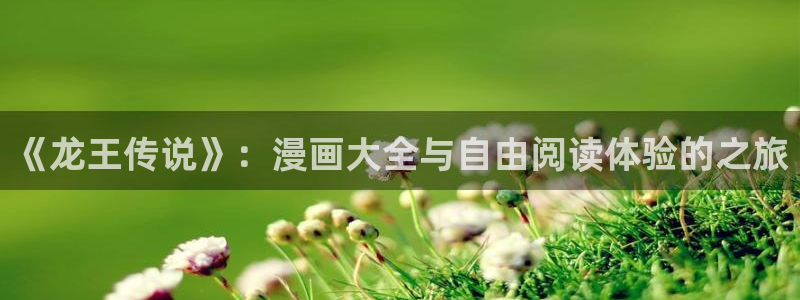 羞羞漫画在线观看破解版：《龙王传说》：漫画大全与自由阅读体验的之旅